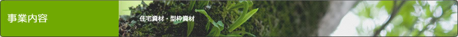 事業内容